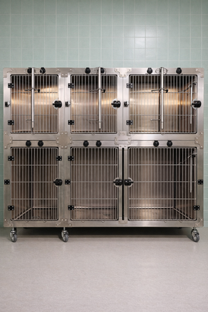 Jaulas de Hospitalización Perro