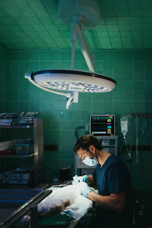 Monitor Multiparamétrico con Capnógrafo e IBP-15¨